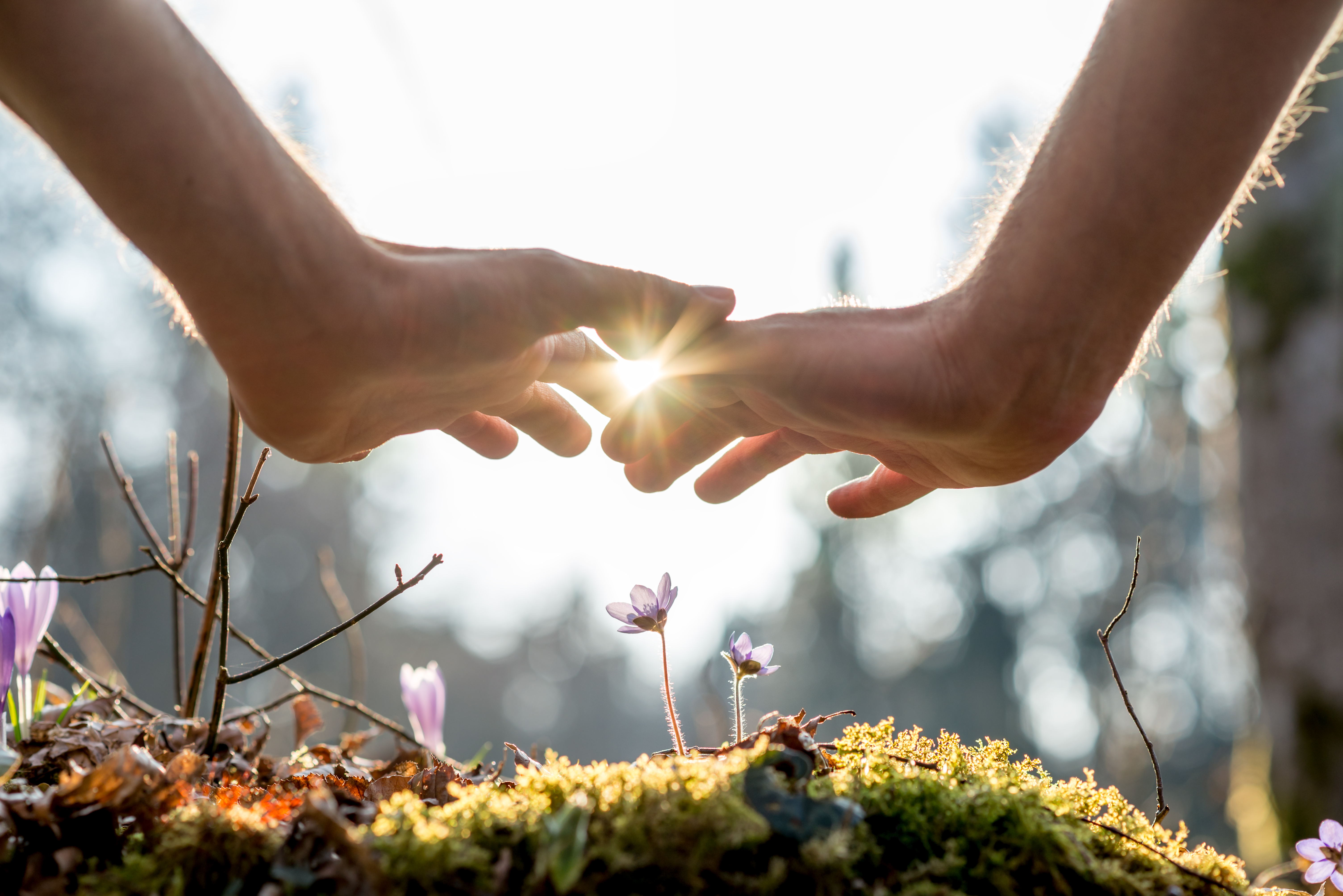When Belonging Becomes Survival