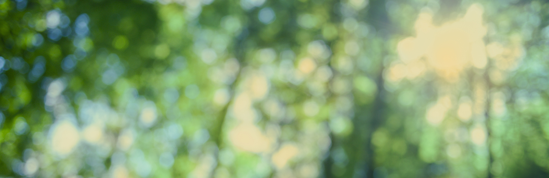 What Is a Focused Section 30 Assessment and Is It Right for Your Family?